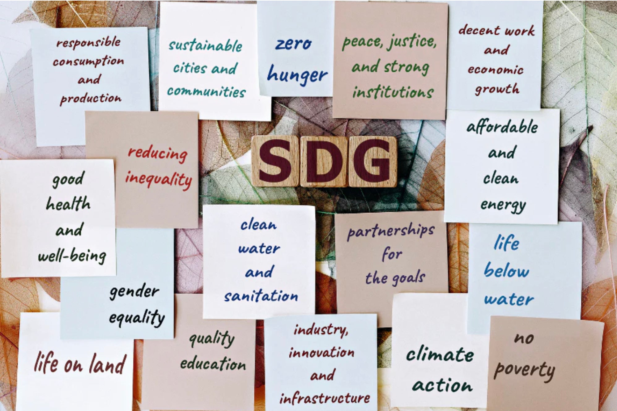 How Mondays can help you meet your Sustainable Development Goals (SDGs)!